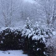 Pagny-sur-Moselle 07/03/2016