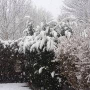 Pagny-sur-Moselle 07/03/2016