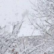 Pagny-sur-Moselle 07/03/2016