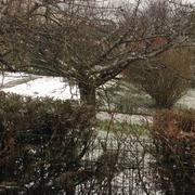 Monéteau 07/03/2016