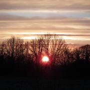 Picauville 08/03/2016