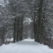 Pérols-sur-Vézère 09/03/2016