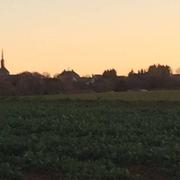 Domfront-en-Champagne 10/03/2016