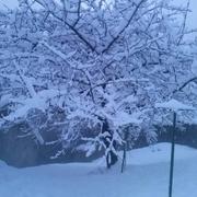 Chalencon 17/03/2016