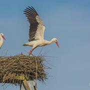 Les Monthairons 27/03/2016