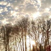 Chazelles 30/03/2016