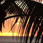 La Réunion 31/03/2016