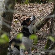 Romagne-sous-Montfaucon 13/04/2016