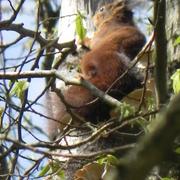 Romagne-sous-Montfaucon 13/04/2016