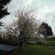 Noyellette 23/04/2016