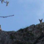 Bourg-de-Sirod 26/04/2016