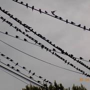 Longueil-Sainte-Marie 30/04/2016