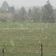 Saint-André-de-Vézines 30/04/2016