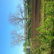 Coulonges-sur-l'Autize 01/05/2016