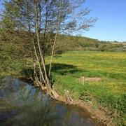 Brinon-sur-Beuvron 06/05/2016