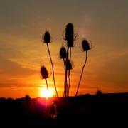 Chevières 07/05/2016