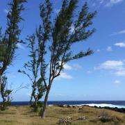 Saint-Leu 11/05/2016