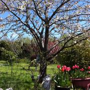 Sousceyrac-en-Quercy 16/05/2016