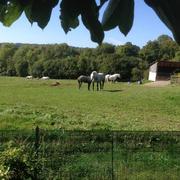 Saint-Agnan-sur-Sarthe 20/05/2016