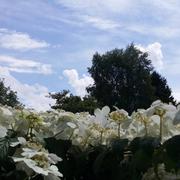 Ticheville 27/05/2016