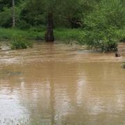 La Roche-en-Brenil 29/05/2016
