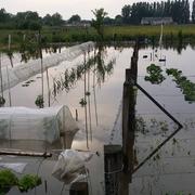 Lencloître 30/05/2016