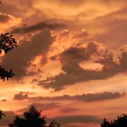 Les Bordes 31/05/2016