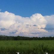 Ruffey-lès-Beaune 07/06/2016