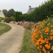 Île-de-Bréhat 07/06/2016