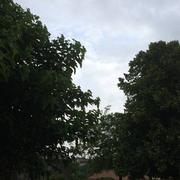 La Crèche 16/06/2016