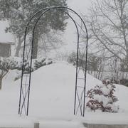 Villeneuve-sous-Charigny 04/01/2010