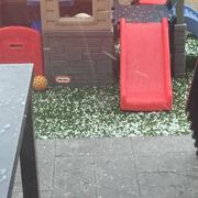 Brouillet 17/06/2016