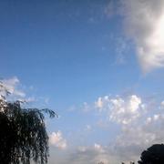 Pluvigner 22/06/2016