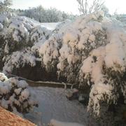 Le Vernet 23/06/2016