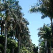 Santa Cruz de Ténérife 26/06/2016