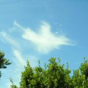 Le Poinçonnet 10/07/2016