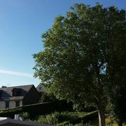 Tinchebray 18/07/2016