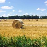 Blancafort 20/07/2016