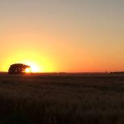 Prunay-le-Gillon 20/07/2016