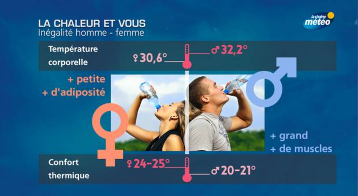 Fortes chaleurs : les différences homme-femme - Actualités La Chaîne Météo