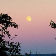 Tellancourt 27/07/2016