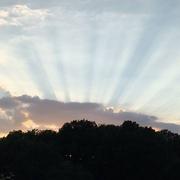 Le Buisson-de-Cadouin 28/07/2016