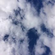 Mehun-sur-Yèvre 29/07/2016