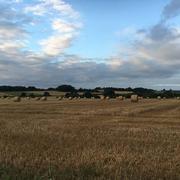 Bruc-sur-Aff 29/07/2016