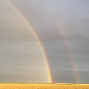 Montceaux-lès-Provins 03/08/2016