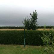 Saint-Sylvain 03/08/2016