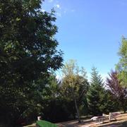 Saint-Jean-de-Côle 03/08/2016