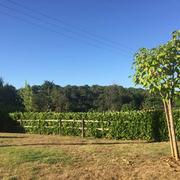 Saint-Martial-de-Nabirat 03/08/2016