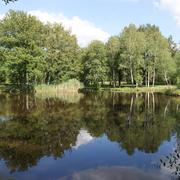 Neuvy-sur-Barangeon 04/08/2016