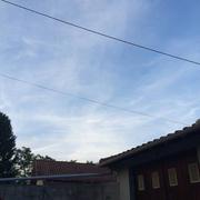 Gout-Rossignol 09/08/2016